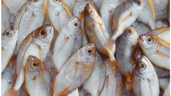 タラや鮭はいつから 白身魚を離乳食に使う時の注意点と冷凍ストック方法 離乳食を作ろう
